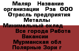 Маляр › Название организации ­ Рза, ООО › Отрасль предприятия ­ Металлы › Минимальный оклад ­ 40 000 - Все города Работа » Вакансии   . Мурманская обл.,Полярные Зори г.